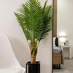 Parkside 3* אלגהרו
